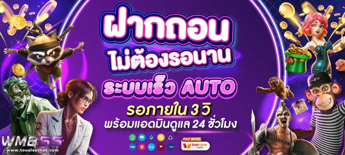 สล็อต wmb55